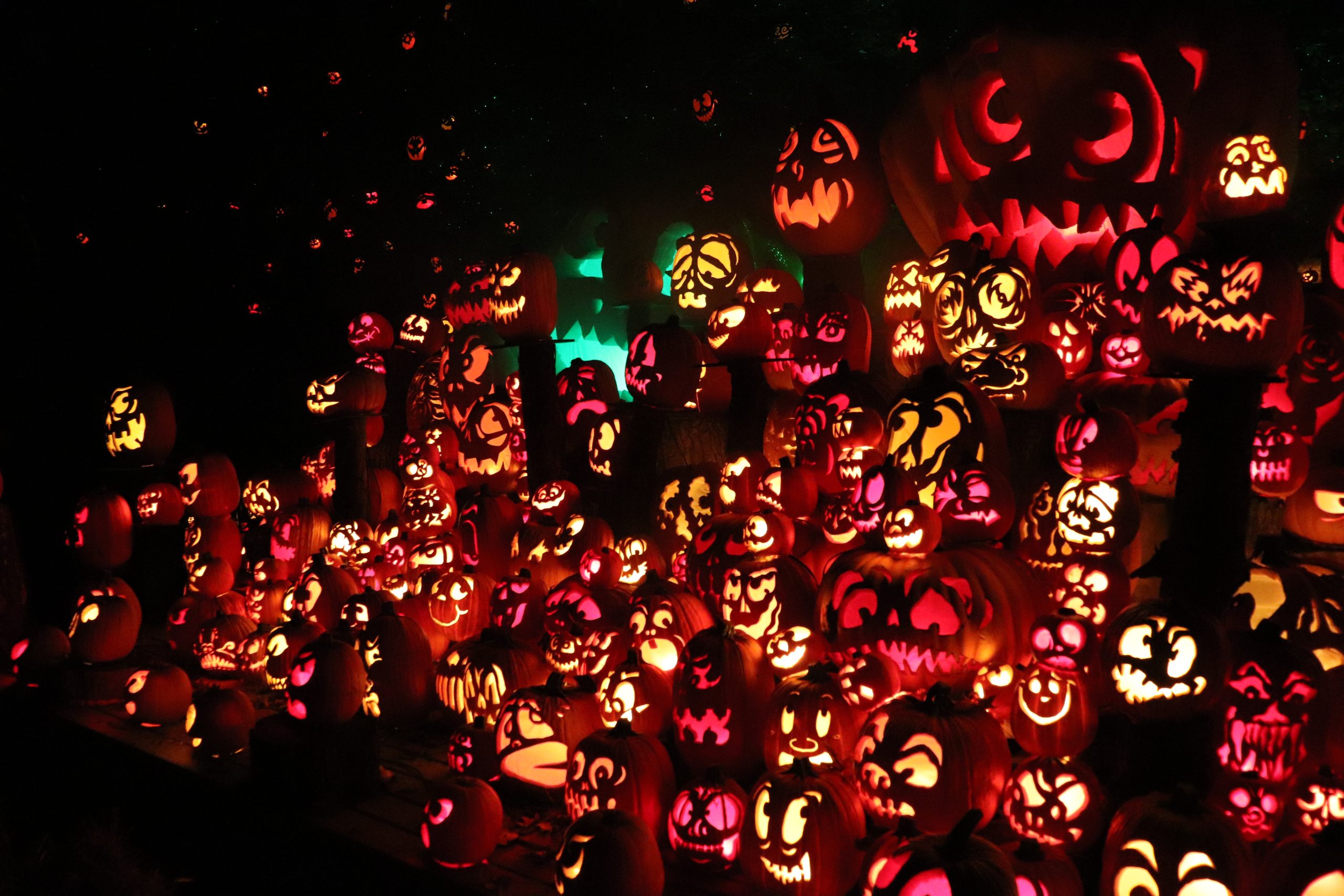 An Ode to Halloween: Louisville’s Jack-O-Lantern Spectacular